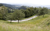 Leading group at GC of II. category Padeski Vrh during the third stage of the Tour de Slovenie 2014. Third stage of the Tour de Slovenie from Rogaska Slatina to Sveti Trije kralji was 192 km long and it was held on Saturday, 21st of June, 2014 in Slovenija.
