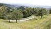 Peloton at GC of II. category Padeski Vrh during the third stage of the Tour de Slovenie 2014. Third stage of the Tour de Slovenie from Rogaska Slatina to Sveti Trije kralji was 192 km long and it was held on Saturday, 21st of June, 2014 in Slovenija.
