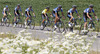 Team Netap Endura with Tiago Machado of Portugal (Team Netap Endura) in the middle during the fourth stage of the Tour de Slovenie 2014. The fourth stage of the Tour de Slovenie from Skofja Loka to Novo mesto was 153 km long and it was held on Sunday, 22nd of June, 2014 in Slovenija.
