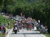 Maingroup during the Tour of Austria, 1st Stage, from Morbisch to Scheibbs, Scheibbs, Austria on 2015/07/05.
