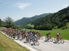 Maingroup during the Tour of Austria, 1st Stage, from Morbisch to Scheibbs, Scheibbs, Austria on 2015/07/05.
