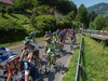 Maingroup at Ennstal during the Tour of Austria, 3rd Stage, from Windischgarsten to Judendorf, Windischgarsten, Austria on 2015/07/07.
