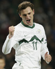 Milivoje Novakovic of Slovenia during football match of UEFA European championships qualifications between Slovenia and Faroe Islands. Match between Slovenia and Faroe Islands was played on Friday, 8th of October 2010 in Stozice arena in Ljubljana, Slovenia.
