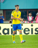 Zlatan Ibrahimovic of Sweden during FIFA World Cup Qualifier Match between Austria and Sweden. FIFA World Cup Qualifier Match between Austria and Sweden was played on Ernst Happel Stadium in Vienna, Austria, on Friday, 7th of June 2013.
