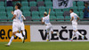 Kevin Kampl of Slovenia celebrates his goal during FIFA World cup 2014 qualification football match between Slovenia and Albania. Match between Slovenia and Albania was played in Stozice arena in Ljubljana, Slovenia, on Friday, 6th of September 2013.

