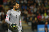 Goalie Samir Handanovic of Slovenia during UEFA European qualifiers football match between Slovenia and Switzerland. Match between Slovenia and Switzerland was played in arena Ljudski vrt in Maribor, Slovenia, on Thursday, 9th of October 2014.
