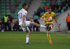 Vaidas Slavickas of Lithuania (R) and Valter Birsa of Slovenia (L) during UEFA European qualifiers football match between Slovenia and England. UEFA European qualifiers match between Slovenia and Lithuania was played in Stozice arena in Ljubljana, Slovenia, on Friday, 9th of October 2015.
