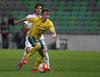Arvydas Novikovas of Lithuania during UEFA European qualifiers football match between Slovenia and England. UEFA European qualifiers match between Slovenia and Lithuania was played in Stozice arena in Ljubljana, Slovenia, on Friday, 9th of October 2015.
