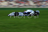 Robert Kubica (POL),  BMW Sauber F1 Team during free practice for Formula 1 Grand Prix of France. Free practice for Formula 1 Grand Prix of France in Magny Cours was held on Thursday, 18th of June 2008 in Magny Cours, France. <br> 
