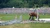 Featrue Red Bull Ring, Der Spielberg Stier during the Race of the Austrian Formula One Grand Prix at the Red Bull Ring in Spielberg, Austria, 2014/06/22.
