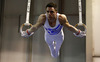 Winner Eleftherios Petrounias of Greece during competition on rings of Artistic gymnastics World Challenge Cup Ljubljana 2013, which was held on Saturday, 27th of April 2013 in Tivoli Arena in Ljubljana, Slovenia
