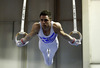 Winner Eleftherios Petrounias of Greece during competition on rings of Artistic gymnastics World Challenge Cup Ljubljana 2013, which was held on Saturday, 27th of April 2013 in Tivoli Arena in Ljubljana, Slovenia
