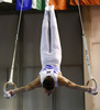 Winner Eleftherios Petrounias of Greece during competition on rings of Artistic gymnastics World Challenge Cup Ljubljana 2013, which was held on Saturday, 27th of April 2013 in Tivoli Arena in Ljubljana, Slovenia
