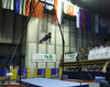 Third placed Alexander Naddour of USA during competition on rings of Artistic gymnastics World Challenge Cup Ljubljana 2013, which was held on Saturday, 27th of April 2013 in Tivoli Arena in Ljubljana, Slovenia
