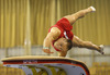 Second placed Marek Lyszczarz of Poland competing during men vault competition of Artistic gymnastics World Challenge Cup Ljubljana 2013, which was held on Saturday, 27th of April 2013 in Tivoli Arena in Ljubljana, Slovenia
