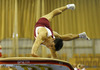Vitalijs Kardasovs of Latvia competing during men vault competition of Artistic gymnastics World Challenge Cup Ljubljana 2013, which was held on Saturday, 27th of April 2013 in Tivoli Arena in Ljubljana, Slovenia
