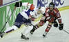 Anze Kopitar (no.11) of Slovenia and Mario Altmann (no.41) of Austria during match of EIHC Ice hockey tournament between Slovenia and Austria. Match between Slovenia and Austria was held in Ljubljana Hala Tivoli arena, Slovenia, on Saturday, 10th of November 2012.
