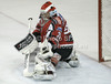 Bernhard Starkbaum (no.29) of Austria during match of EIHC Ice hockey tournament between Slovenia and Austria. Match between Slovenia and Austria was held in Ljubljana Hala Tivoli arena, Slovenia, on Saturday, 10th of November 2012.
