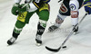 Players during match of EBEL league Ice hockey tournament between HDD Telemach Olimpija and EC VSV, Villach. Match between HDD Telemach Olimpija and EC VSV, Villach was held in Ljubljana Hala Tivoli arena, Slovenia, on Friday, 16th of November 2012.
