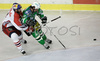 Todd Elik (no.12) of ZM Olimpija (R) and Josh Green (no.14) of Red Bull Salzburg (L) during second match of finals of EBEL League between ZM Olimpija, Ljubljana, Slovenia and Red Bull Salzburg, Austria. Match was won by Red Bull Salzburg who defeated ZM Olimpija with 1:3. Match was played in Tivoli Arena in Ljubljana, Slovenia on 16th of March 2008.
