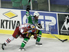 Todd Elik (no.12) of ZM Olimpija (R) and Patrick Harand (no.16) of Red Bull Salzburg (L) during second match of finals of EBEL League between ZM Olimpija, Ljubljana, Slovenia and Red Bull Salzburg, Austria. Match was won by Red Bull Salzburg who defeated ZM Olimpija with 1:3. Match was played in Tivoli Arena in Ljubljana, Slovenia on 16th of March 2008.
