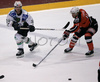 Pasi Petrilainen (no.36) of HDD Tilia Olimpija (L) and Boris Pretnar (no.14) of HK Acroni Jesenice (R) during match of Erste Bank Eishockey Liga 2008-09 between HK Acroni Jesenice, Jesenice, Slovenia and HDD Tilia Olimpija, Ljubjana, Slovenia. HK Acroni Jesenice won match and defeated HDD Tilia Olimpija 8:2. Match of EBEL League was played in Podmezaklja arena in Jesenice, Slovenia on 12th of October 2008.
