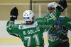 Bostjan Golicic (no.71) of HDD Olimpija (L) and Ziga Pavlin (no.17) of HDD Olimpija (R) celebrating goal during ice hockey match Summer League Rudi Hiti (Poletna liga Rudi Hiti) 2010 between HDD Tilia Olimpija and HK Acroni Jesenice. Match between HDD Tilia Olimpija and HK Acroni Jesenice was held on Friday, 20th of August 2010 in Ljubljana, Slovenia.
