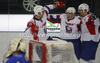 Mitja Robar (no.5) of Slovenia celebrating his goal with teammates during match of IIHF Ice hockey World championship Division 1 Group A between Slovenia and Ukrain. Match between Slovenia and Ukrain of IIHF Ice hockey World championship Division 1 Group A was held in Stozice Arena in Ljubljana, Slovenia, on Thursday, 19th of April 2012.

