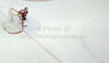 Goalie Bernhard Starkbaum (no.29) of Austria during match of EIHC Ice hockey tournament between Slovenia and Austria. Match between Slovenia and Austria was held in Ljubljana Hala Tivoli arena, Slovenia, on Saturday, 10th of November 2012.
