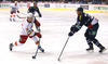 Steve Moses (no.12) of Jokerit Helsinki (L) shooting next to Sasa Martinovic (no.23) of KHL Medvescak Zagreb (R) during match of Ice hockey KHL, Kontinental Hockey League, between KHL Medvescak Zagreb and Jokerit Helsinki. KHL ice hokey match between KHL Medvescak Zagreb, Croatia, and Jokerit Helsinki, Finland, was played in Dom Sportova Arena in Zagreb, Croatia, on Saturday, 22nd of November 2014.
