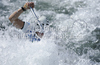 Benjamin Savsek of Slovenia during final run of men C-1 race of ICF Canoe Slalom World Championships 2010, which was held in Tacen, Slovenia, on Sunday, 12th of September 2010.
