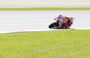 Andrea Dovizioso (ITA/ Ducati Team) during the race of the Austrian MotoGP Grand Prix at the Red Bull Ring in Spielberg, Austria on 2016/08/14.
