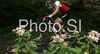 Cyclist riding during men UCI Mountain bike Marathon World Championships race in Graz - Stattegg, Austria. 104km long men race was held in Graz - Stattegg, Austria, on 23rd of August 2009.
