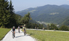 Mountain bikers during the Loka MTB marathon 2015. Loka MTB marathon took place on Saturday, 12th of September 2015 in hills above village Zminec near Skofja Loka, Slovenia.
