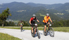 Mountain bikers during the Loka MTB marathon 2015. Loka MTB marathon took place on Saturday, 12th of September 2015 in hills above village Zminec near Skofja Loka, Slovenia.
