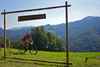 Mountain bikers during the Loka MTB marathon 2015. Loka MTB marathon took place on Saturday, 12th of September 2015 in hills above village Zminec near Skofja Loka, Slovenia.
