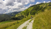 Mountain bikers enjoying sunny Saturday morning in hills above Skofja Loka, Slovenia, on Saturday, 18th of June 2016.
