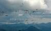 Paragliders in the air after start of first race of Nordic Open 2009 in Preddvor, Slovenia. First race of Nordic Open 2009 was had start on Krvavec, Slovenia, and was held on 5th of July 2009.
