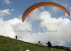 Paragliders in the air after start of first race of Nordic Open 2009 in Preddvor, Slovenia. First successful race of Nordic Open 2009 was had start on Krvavec, Slovenia, and was held on 9th of July 2009.
