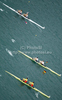 Rowers competing during semi finals of FISA Rowing World cup in Bled, Slovenia. Semi final races of FISA Rowing World cup were held on Saturday, 29th of May 2010 in lake Bled in Bled, Slovenia.
