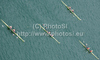 Rowers competing during semi finals of FISA Rowing World cup in Bled, Slovenia. Semi final races of FISA Rowing World cup were held on Saturday, 29th of May 2010 in lake Bled in Bled, Slovenia.
