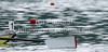 Rowers competing during finals of FISA Rowing World cup in Bled, Slovenia. Final races of FISA Rowing World cup were held on Sunday, 30th of May 2010 in lake Bled in Bled, Slovenia.
