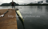 Rowers are preparing for finals of FISA Rowing World cup in Bled, Slovenia. Final races of FISA Rowing World cup were held on Sunday, 30th of May 2010 in lake Bled in Bled, Slovenia.
