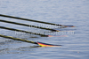 German oar blades at the 2010 European Rowing Championships held at the aquatic centre, Montemor-o-Velho, Portugal.
