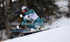 Aksel Lund Svindal of Norway skiing in the first run of the Men Slalom race of Audi FIS alpine skiing World Cup in Kitzbuehel, Austria. Slalom race of Men Audi FIS Alpine skiing World Cup 2012-2013, was held on Sunday, 27th of January, 2013, on  course Ganslern in Kitzbuehel, Austria.
