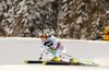 Nicole Hosp of Austria skiing during Downhill Super combined race of Fis Alpine World Ski Championships 2013 Schladming, Austria. Downhill Super combined race of Fis Alpine World Ski Championships 2013 Schladming, was held on Friday, 8th of February, 2013, on  course Streicher in Schladming, Austria.
