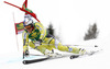 Aksel Lund Svindal of Norway skiing in the first run of the Mens Giant slalom race of Audi FIS Ski World cup Kranjska gora, Slovenija. The Mens Giant Slalom race of Audi FIS Ski World cup 2013 was held on Saturday, 9th of March, 2013, on  course Podkoren in Kranjska gora, Slovenija.

