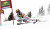Marcel Hirscher of Austria skiing in the first run of the Mens Giant slalom race of Audi FIS Ski World cup Kranjska gora, Slovenija. The Mens Giant Slalom race of Audi FIS Ski World cup 2013 was held on Saturday, 9th of March, 2013, on  course Podkoren in Kranjska gora, Slovenija.
