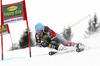 Ted Ligety of USA skiing in the first run of the Mens Giant slalom race of Audi FIS Ski World cup Kranjska gora, Slovenija. The Mens Giant Slalom race of Audi FIS Ski World cup 2013 was held on Saturday, 9th of March, 2013, on  course Podkoren in Kranjska gora, Slovenija.
