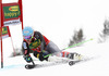 Ted Ligety of USA skiing in the first run of the Mens Giant slalom race of Audi FIS Ski World cup Kranjska gora, Slovenija. The Mens Giant Slalom race of Audi FIS Ski World cup 2013 was held on Saturday, 9th of March, 2013, on  course Podkoren in Kranjska gora, Slovenija.
